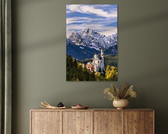 Aperçu de la chambre