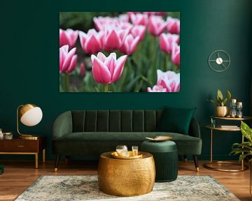 Tulpen in bloei in de lente van Heiko Kueverling