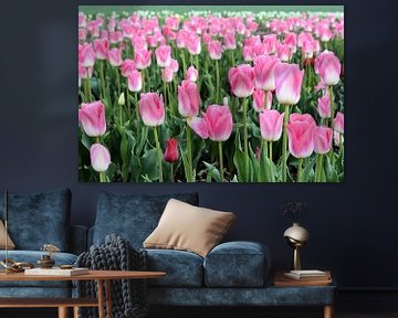 Tulpen in bloei in de lente van Heiko Kueverling