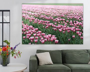 Tulpen in bloei in de lente van Heiko Kueverling