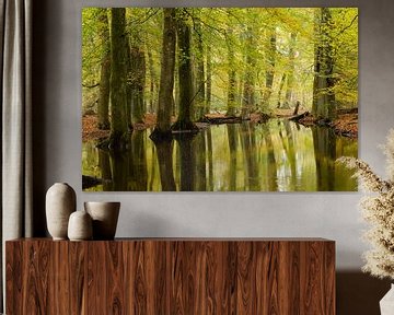 Le ruisseau Leuvenum dans ses couleurs d'automne ! sur Peter Haastrecht, van