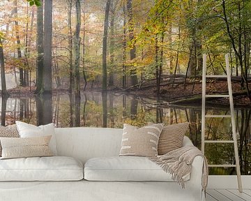 Leuvenumse beek in mist en herfst kleuren! van Peter Haastrecht, van