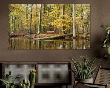 Leuvenum brook in fog and autumn colours! by Peter Haastrecht, van