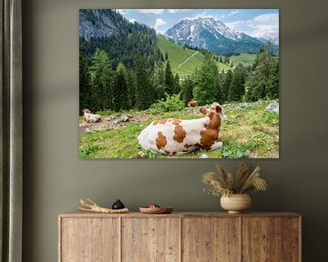 Alpenweide met koe op de Watzmann in Berchtesgaden van Animaflora PicsStock