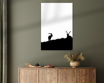 Silhouetten - Steenbokken - Mooi in klein formaat van Anne-Fleur Ponsioen