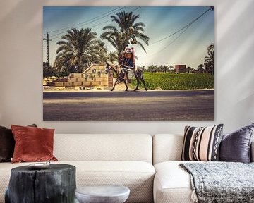 The streets of Egypt Man on donkey (Cairo and Fayoum) 04 by FotoDennis.com | Werk op de Muur