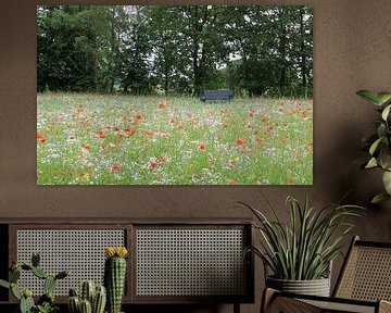 Poppies field by Jose Lok