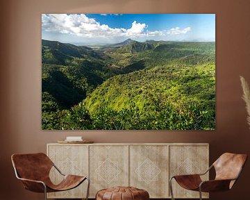 Black River Gorges National Park, Mauritius van Peter Schickert