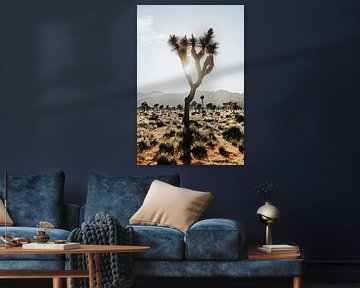 Desert landscape by Walljar