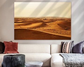 Dubai desert van Walljar