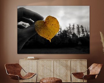 Heart leaf by Thomas Marx