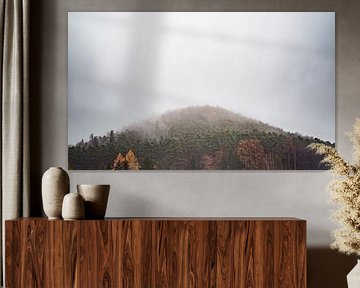 Autumn in the Palatinate