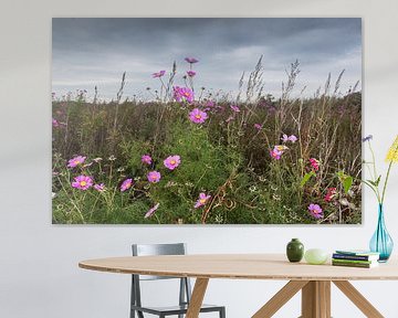 Najaars bloemen in de polder van Jan Pott