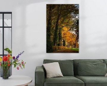 Autumnal trail in Boekelo
