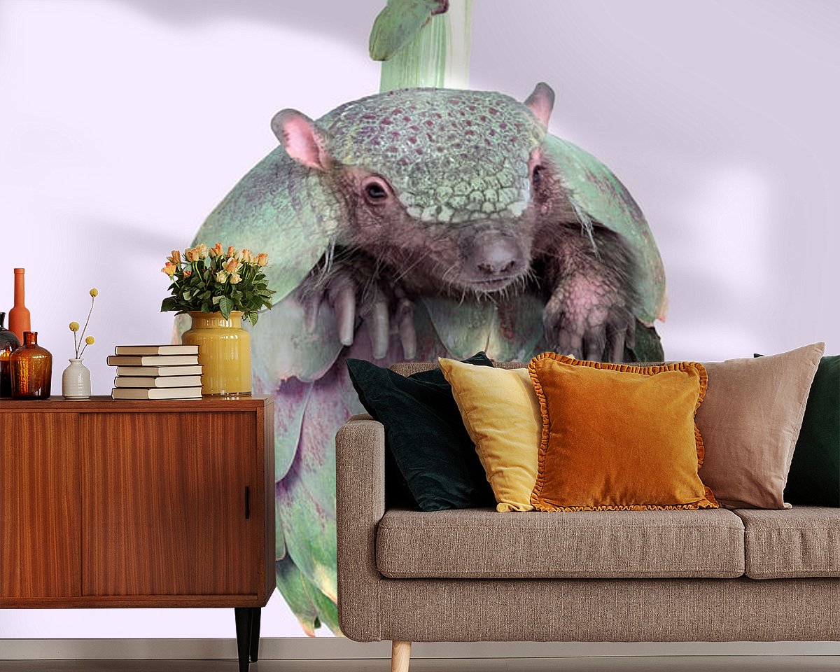 Raumvorschau