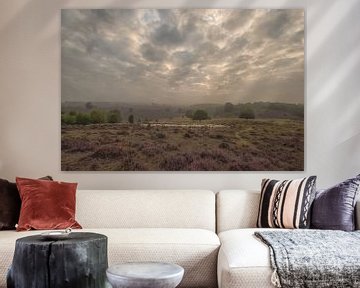 Troupeau de moutons sur une lande fleurie sur Moetwil en van Dijk - Fotografie