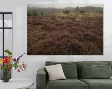 Schafherde auf der Posbank von Moetwil en van Dijk - Fotografie