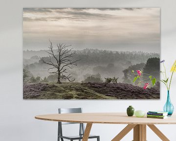 De kale boom van Moetwil en van Dijk - Fotografie