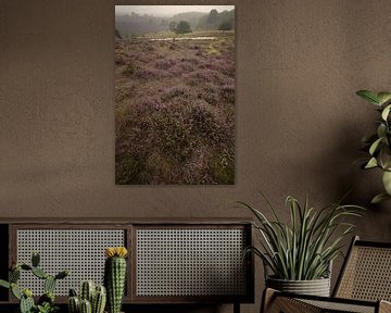 Berger avec un troupeau de moutons dans la lande sur Moetwil en van Dijk - Fotografie