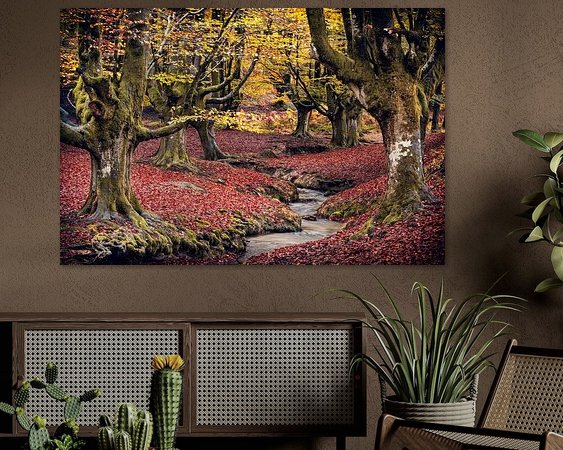 Aperçu de la chambre