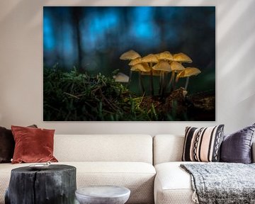 Glowing fantasy mushrooms van Danielle de Graaf