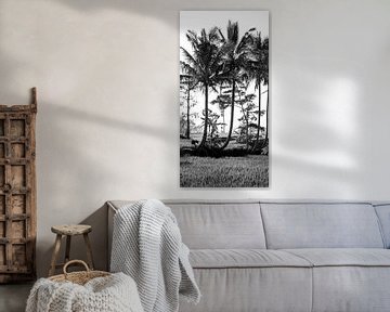 Schwarz-Weiß-Foto eines Reisfeldes auf Bali (Teil 2 eines Triptychons)