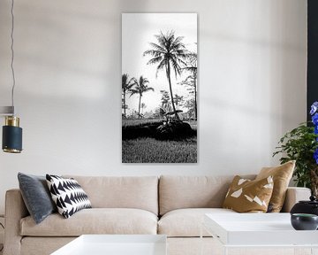 Black and white photo of a rice field on Bali (part 1 of triptych)