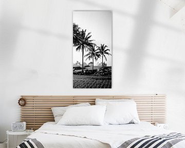 Black and white photo of a rice field on Bali (part 3 of triptych) by Ellis Peeters