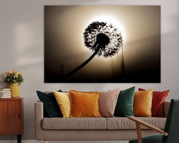 Silhouette einer Pusteblume von Edwin Muller