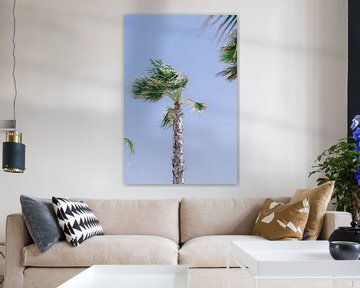 Palmboom op Ibiza van Danielle Bosschaart