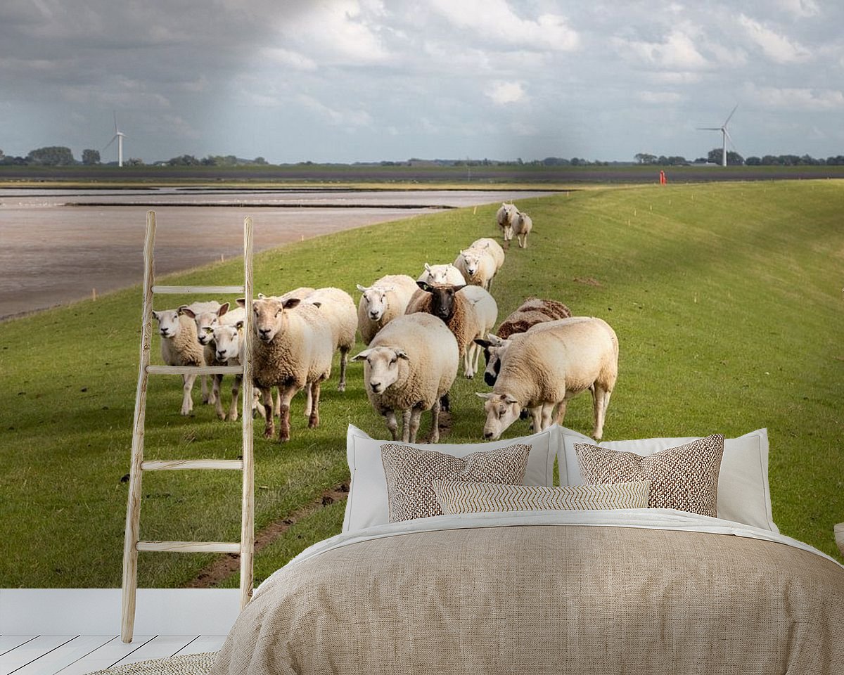 Raumvorschau