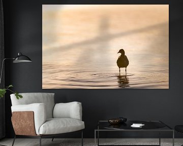 Silhouette d'oiseau aquatique debout dans l'eau dans le rêve sur Robert Ruidl
