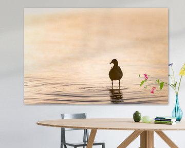 Silhouet van watervogel staande in het water in de dromerige van Robert Ruidl