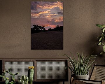 Farben des Sonnenuntergangs 8 - Loonse en Drunense Duinen von Deborah de Meijer