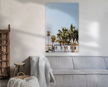 Ein tropisches Foto mit bunten Häusern und Palmen auf Gran Canaria von Yvette Baur