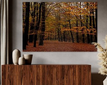 Autumn in the forest by Annemarie Goudswaard