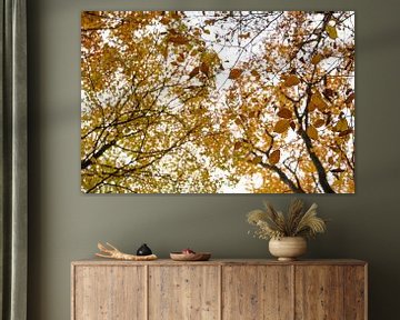 Feuilles d'automne sur Annemarie Goudswaard