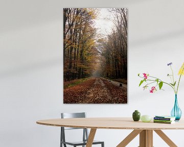 Autumn in the forest by Annemarie Goudswaard