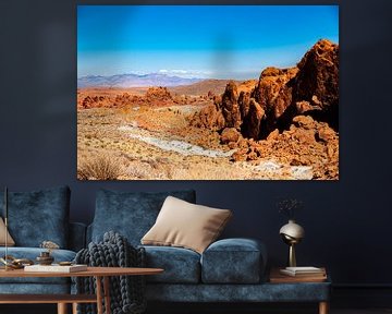Landschaft mit Felsformation im Valley of Fire in Nevada USA von Dieter Walther