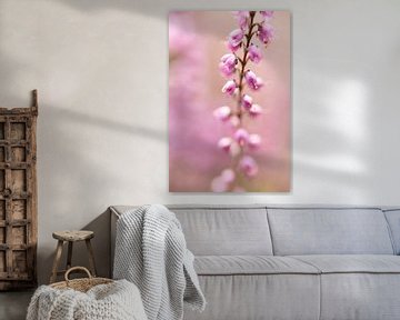 paarse pastel kleuren van heide, natuur | fine art foto van Karijn | Fine art Natuur en Reis Fotografie
