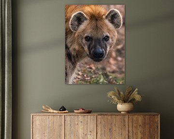 Portret van een Hyena van Jolanda Aalbers