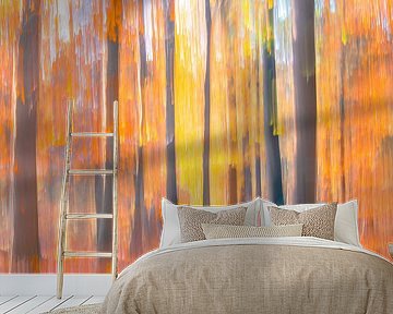 Autumn in the forest