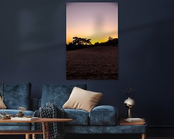 Farben des Sonnenuntergangs 6 - Loonse en Drunense Duinen von Deborah de Meijer