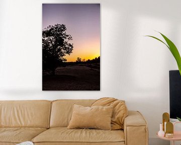 Farben des Sonnenuntergangs 9 - Loonse en Drunense Duinen von Deborah de Meijer