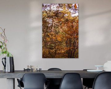 Autumn Trees 3 - Loonse en Drunense Duinen van Deborah de Meijer