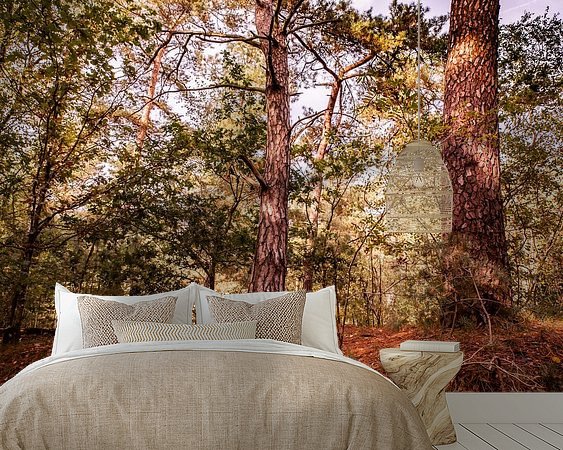 Aperçu de la chambre