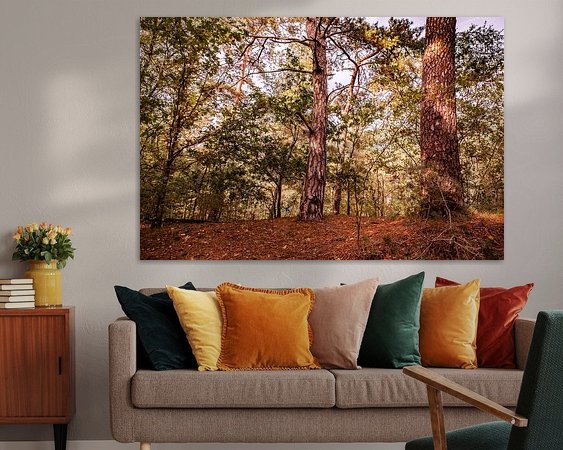 Aperçu de la chambre