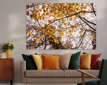 Autumn Leaves 1 - Loonse en Drunense Duinen van Deborah de Meijer