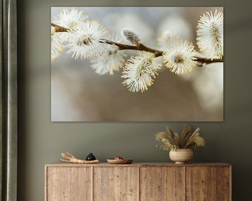 Chats en fleurs avec des nuances de brun sur KB Design & Photography (Karen Brouwer)