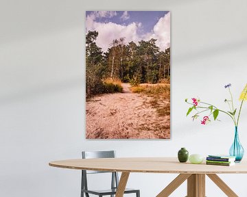 Trees on sand 4 - Loonse en Drunense Duinen van Deborah de Meijer